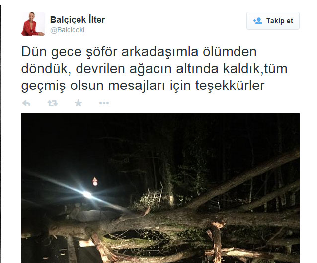 balcicek.jpg balcicek.jpg