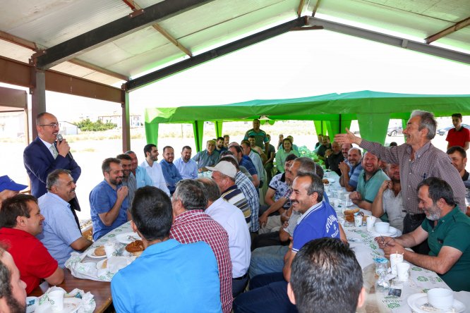 baskan-kavus,-yeni-meram--(8).jpg