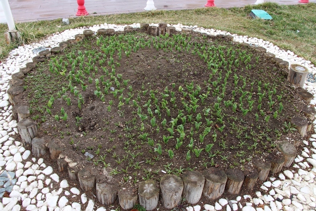 belediyeden-vatandaslara-uyari-(2).jpg