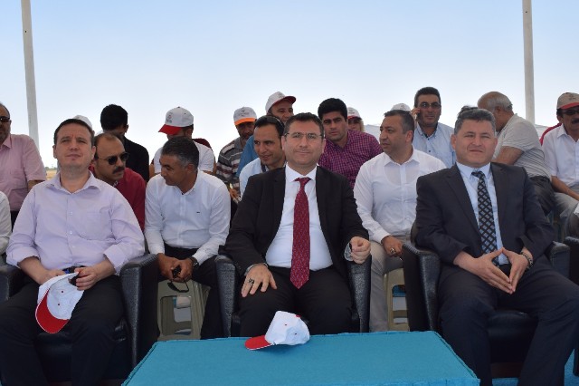 bereket-yerli-tahilda--(4).jpg