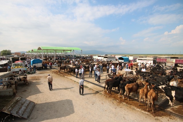 beysehir’de-hayvan-pazarinda-hazirliklar-tamamlandi-(2).jpg