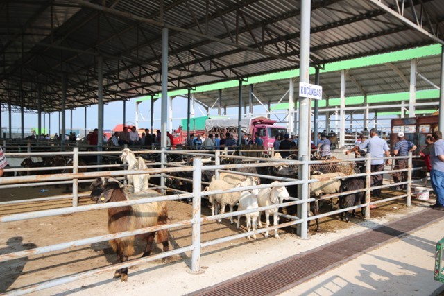 beysehir’de-hayvan-pazarinda-hazirliklar-tamamlandi-(3).jpg