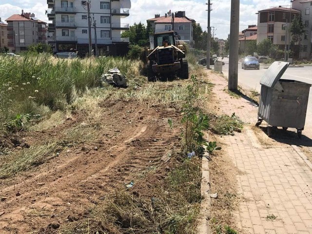 beysehir-belediyesinden-bos-arazilerde--(2).jpg