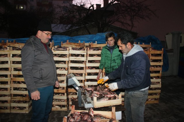 beysehir-golu’nden-suriye’ye-“cin-sazani”-ihracati--(4).jpg