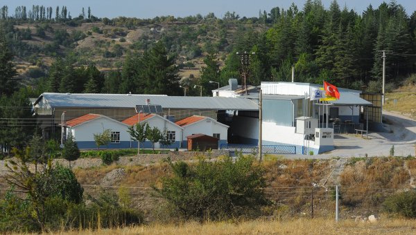 beysu-(1).jpg
