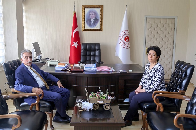 bir-yilda-254-bin-agac-kesilmekten--(1).jpg