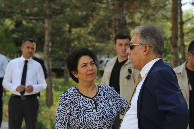 bir-yilda-254-bin-agac-kesilmekten--(2).jpeg
