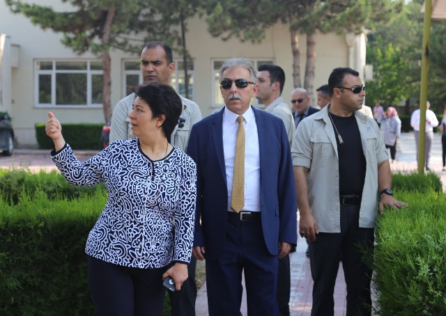 bir-yilda-254-bin-agac-kesilmekten--(2).jpg