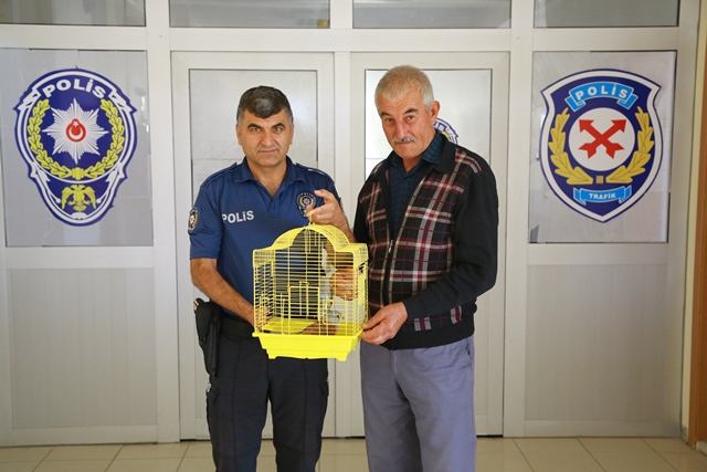 bitkin-halde-bulunan-kerkenez-kusu-kurtarildi-(6).jpg