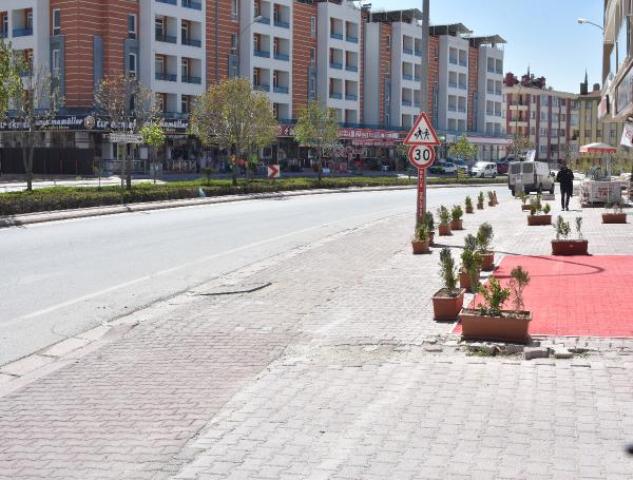 bordo-bereli-olmak-isteyen-rabianin-olumune--(6).jpg