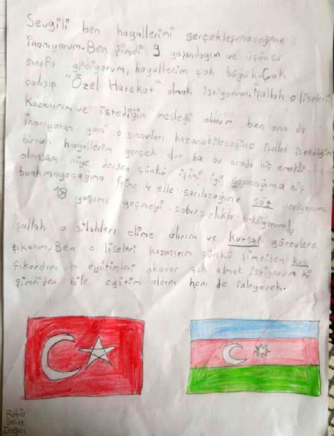 bordo-bereli-olmak-isteyen-rabianin-olumune--(7).jpg