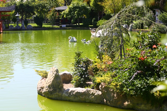 bu-park,-japonyadaymis-hissi-uy-(7).jpg