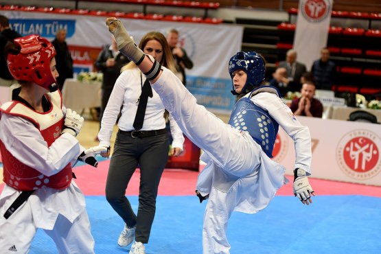 buyukler-r-taekwondo-(6).jpg