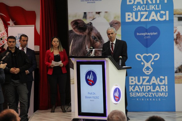buzagi-kayiplari-kop-ili-kirikkale’de-masaya-yatirildi-(4).jpg