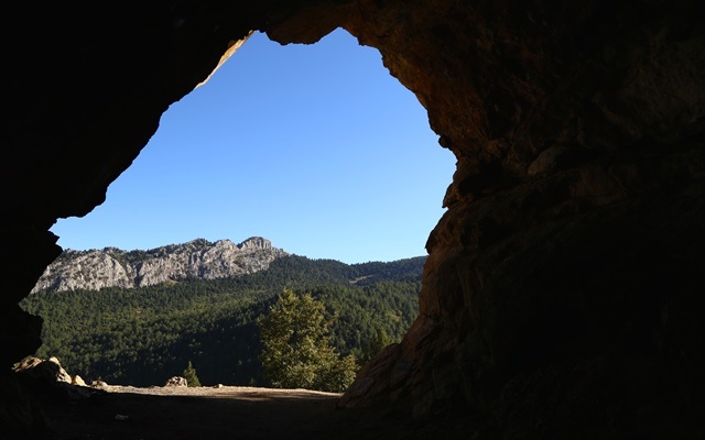 camlik-(2).jpg