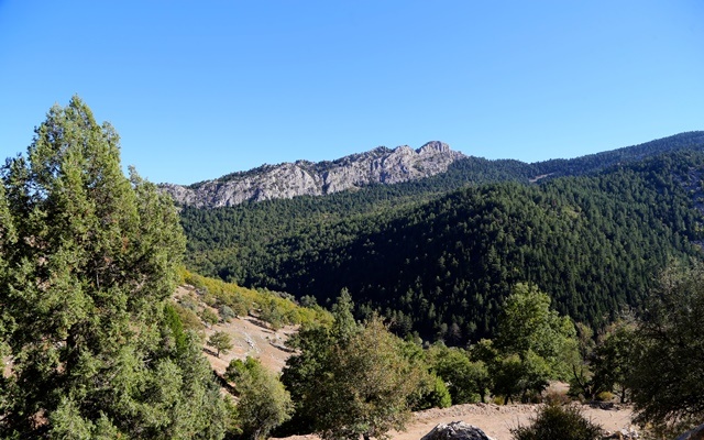camlik-(3).jpg
