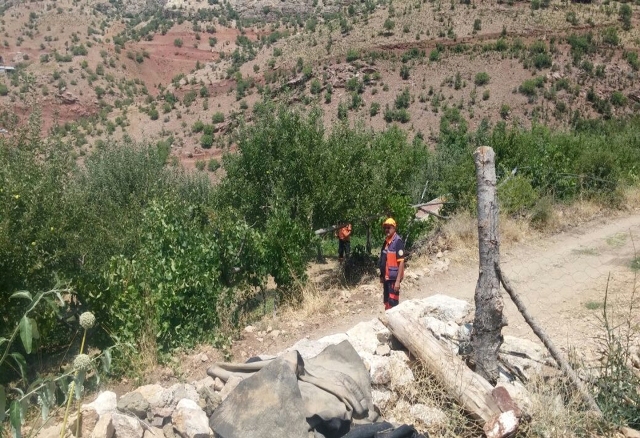 daglik-alan-2.jpg daglik-alan-2.jpg