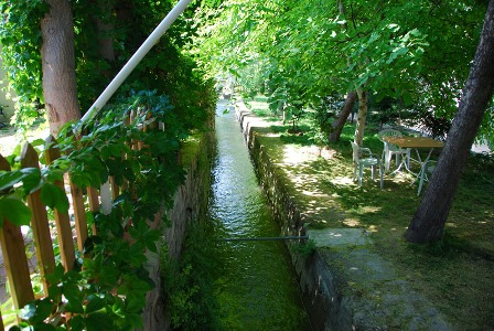 dsc_0020.jpg dsc_0020.jpg