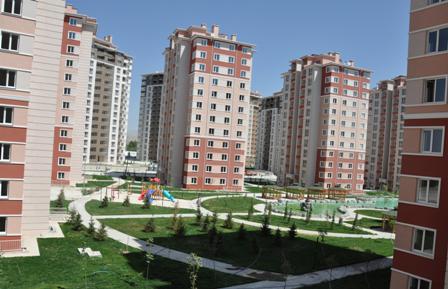 dsc_0339.jpg dsc_0339.jpg