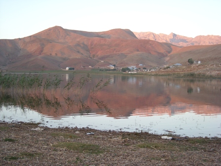 dscn0992.jpg dscn0992.jpg