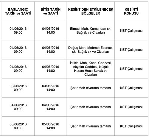 elk-1-copy.jpg