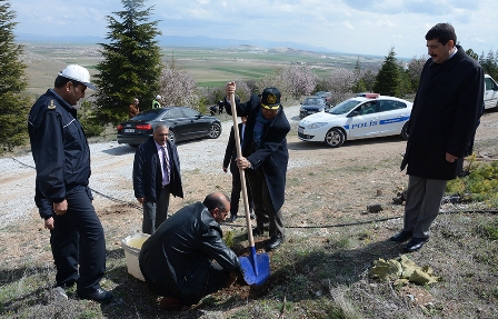 fidan2.jpg