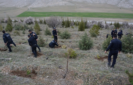 fidan5.jpg
