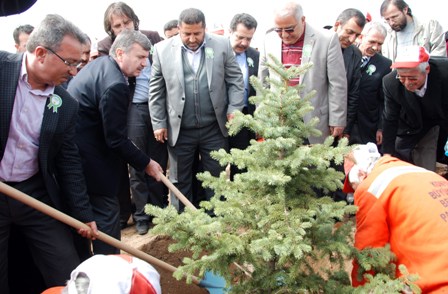 fidan_d_b_1.jpg fidan_d_b_1.jpg