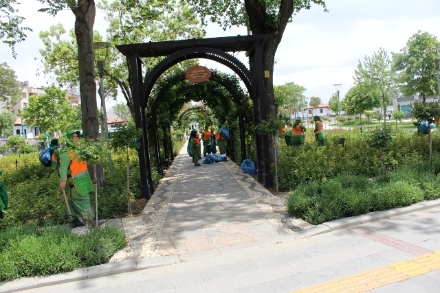 gul-bahcesi-(1).jpg