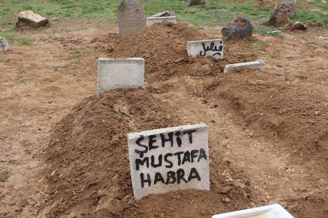 habra--(8).jpg