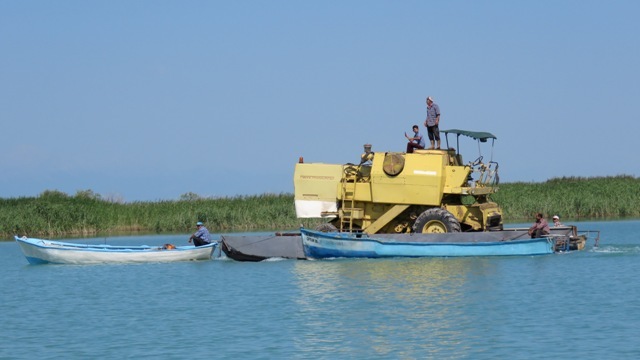 hasat-icin-bicerdoverini-golde-yuzdurdu-(3).jpg