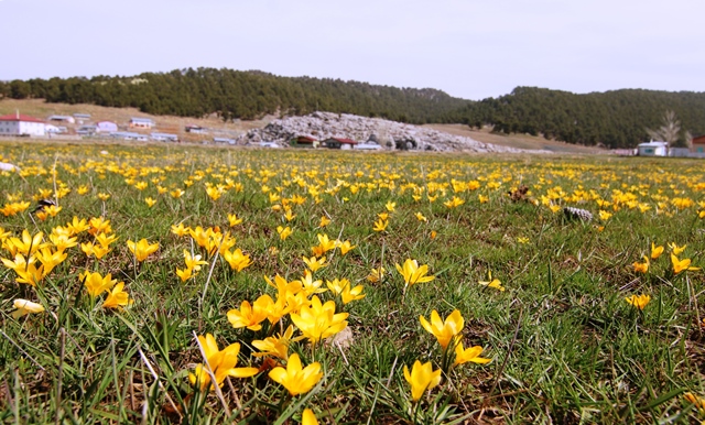 her-mevsim--ayri---bir--guzel-karakisla-yaylasi-(1).jpg