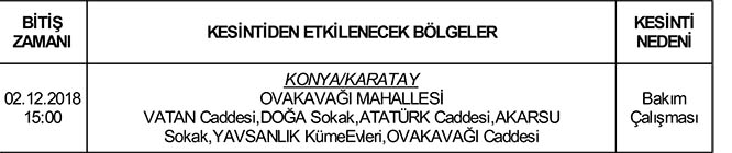 ilanfsdfsd-copy.jpg