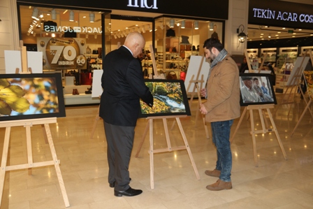 img_1799.jpg img_1799.jpg