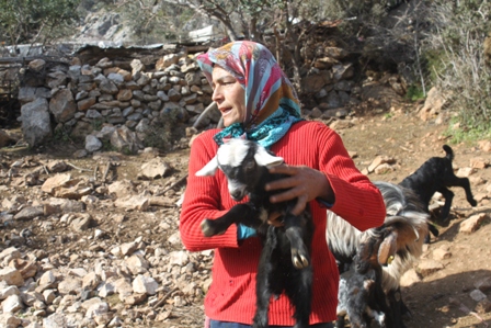 img_1934-001.jpg img_1934-001.jpg