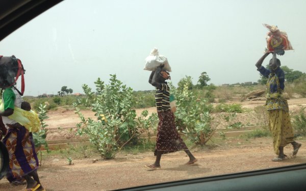 img_3683-001.jpg img_3683-001.jpg