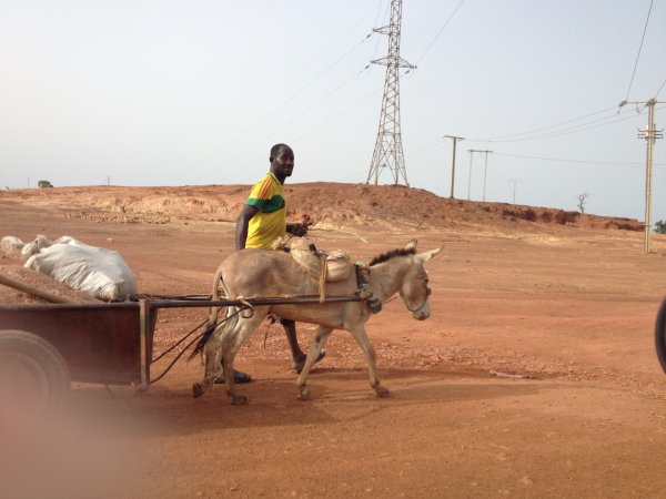 img_3684.jpg img_3684.jpg