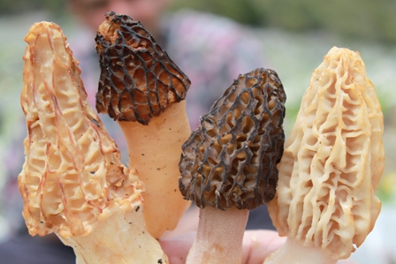 img_4075.jpg img_4075.jpg