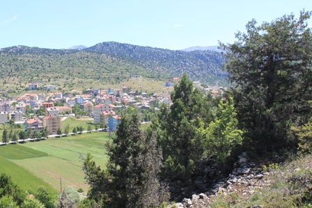 img_4255.jpg img_4255.jpg