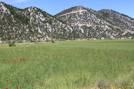 img_4263.jpg img_4263.jpg