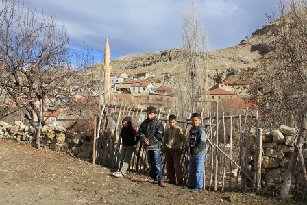 img_5207.jpg img_5207.jpg