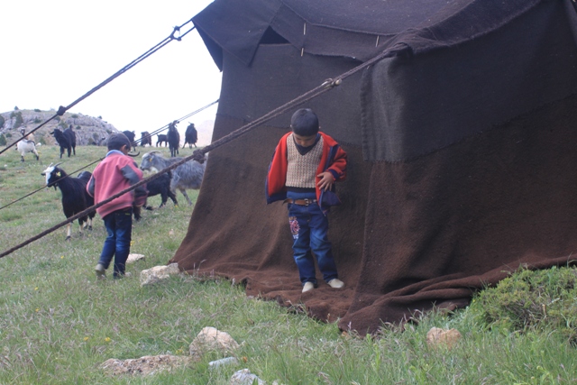 img_5461.jpg img_5461.jpg