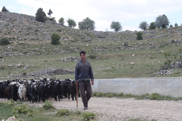 img_5642-001.jpg img_5642-001.jpg