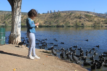 img_5656.jpg img_5656.jpg