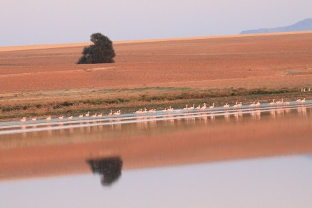 img_5789.jpg img_5789.jpg