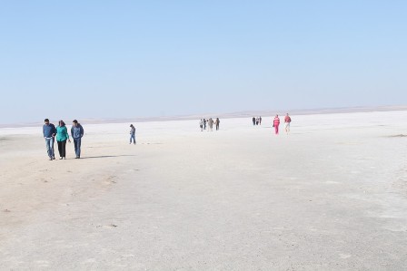 img_5829.jpg img_5829.jpg