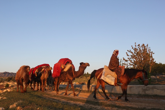 img_5990.jpg img_5990.jpg