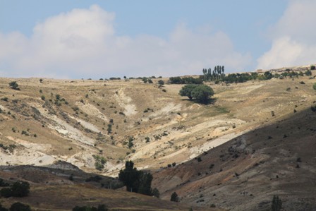 img_6114.jpg img_6114.jpg