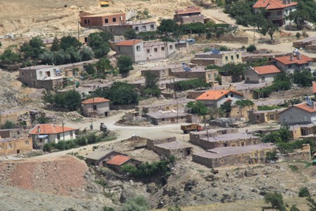 img_6228.jpg img_6228.jpg