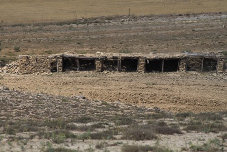 img_6234.jpg img_6234.jpg